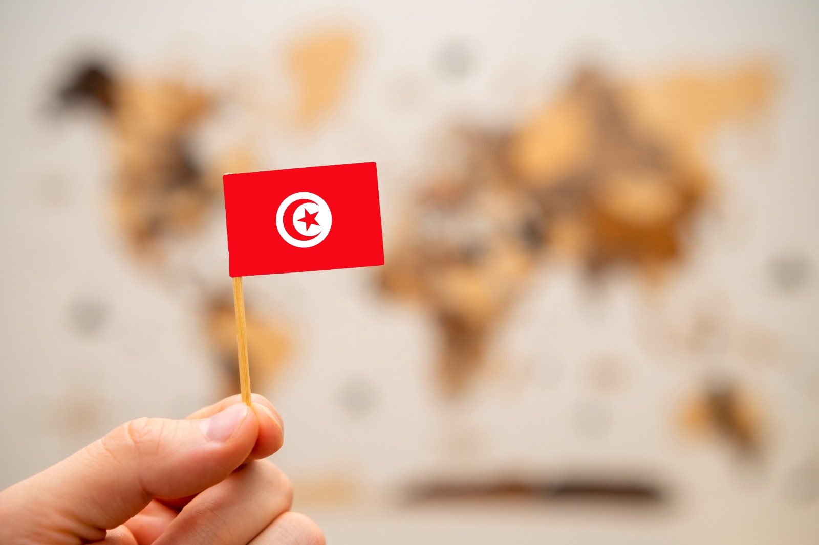 société offshore en Tunisie